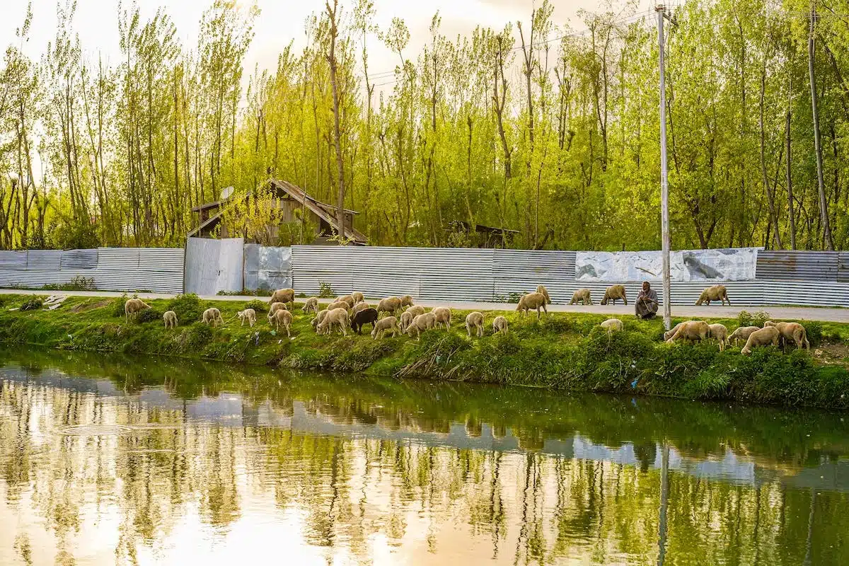 construction écologique